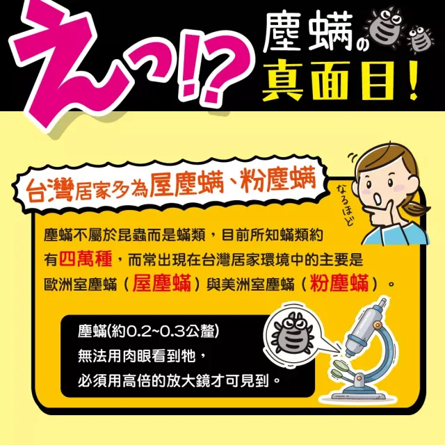 【興家安速】黏螨滿塵螨黏捕片 二件組