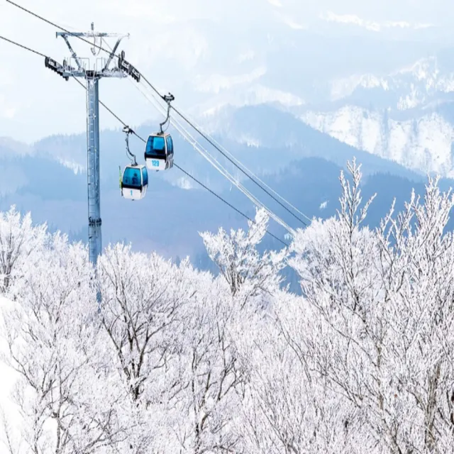 【喜鴻假期】★兒童最高省1萬．雪國青森８日★森吉山樹冰、暖爐列車、雪樂園、猊鼻溪暖桌