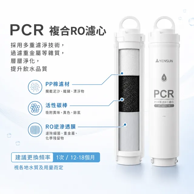 【元山】PCR複合RO濾心 YS-9860CTR (YS-8160RWHI 專用濾心)