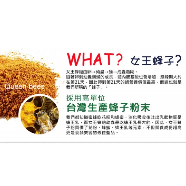 【草本之家】豐采蜂子粉膠囊3入組60粒/入(蜂蛹粉)