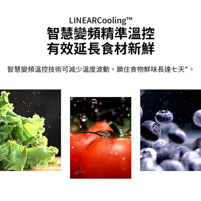 【LG 樂金】家電快配217公升智慧變頻雙門冰箱 星辰銀(GN-L217SVN)
