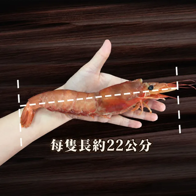 【築地一番鮮】檸檬牌(特大)天使紅蝦 1kg贈 1kg(共2kg)｜生食等級/ L1規格