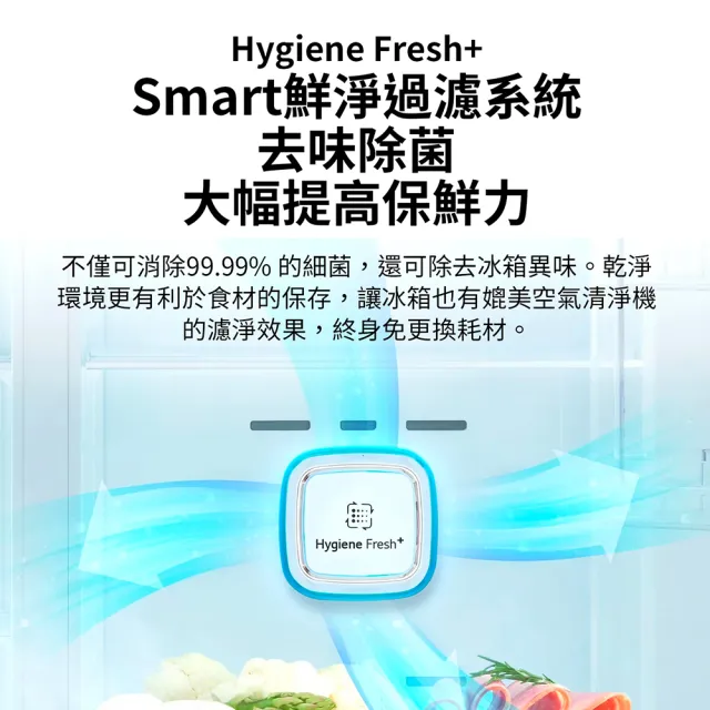 【LG 樂金】家電快配525公升一級能效 WIFI智慧變頻右開雙門冰箱 星辰銀(GN-HL567SVN)