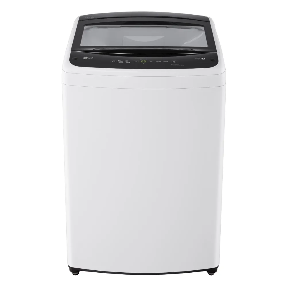 【LG 樂金】家電快配★momo獨家13公斤直立智慧變頻洗衣機-冰瓷白(WT-IBN13W)