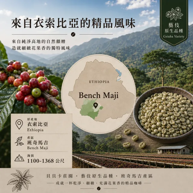 【黑開水】現烘貝貝卡藝伎日曬式淺培咖啡豆1磅(450克/包)