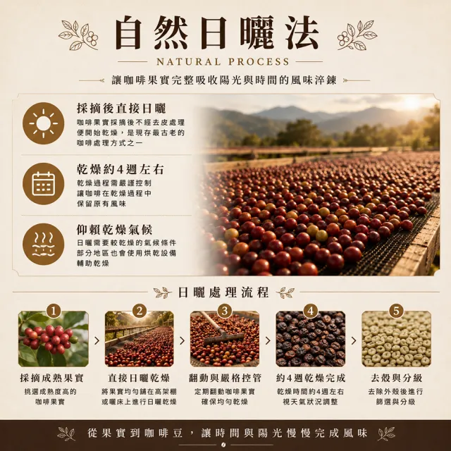 【黑開水】現烘貝貝卡藝伎日曬式淺培咖啡豆1磅(450克/包)