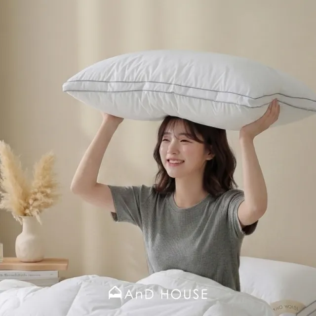 【AnD HOUSE 安庭家居】水洗抗菌立體枕一入(枕頭/可水洗/蓬鬆/防螨抗菌)