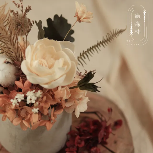 【The Forest 癒森林】日不落維也納森林擴香花禮贈5ml香氛油(永生花/盆花/送禮自用/開幕升遷生日/居家擺飾)
