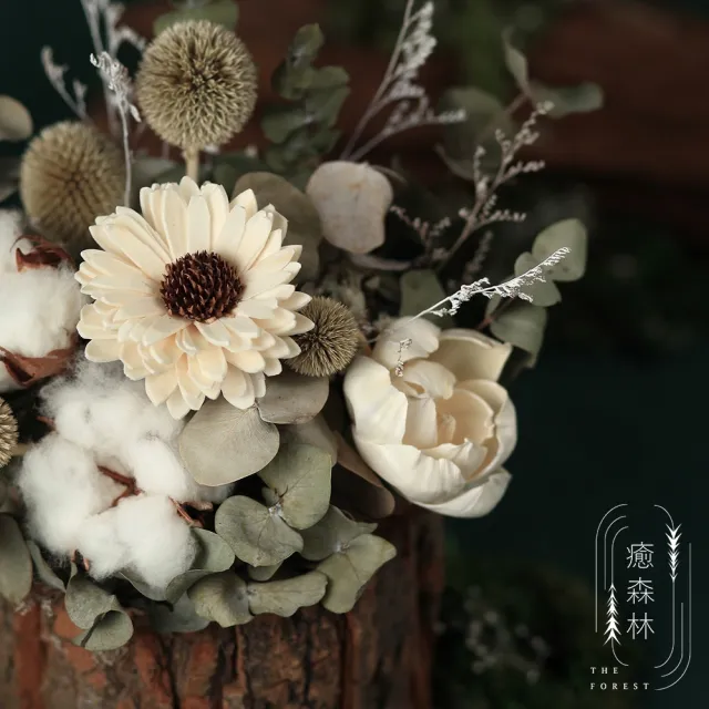 【The Forest 癒森林】北歐挪威迷霧森林擴香花禮贈5ml香氛油(永生花/盆花/送禮自用/開幕升遷生日/居家擺飾)
