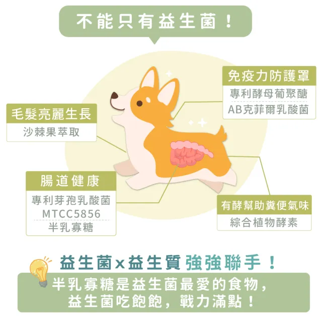 【GOODMO 歸毛家族】Good寶系列-好腸寶/益生菌30包*1盒(貓狗保健/腸胃保健)