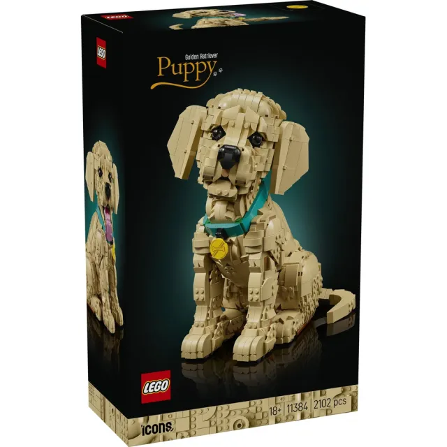 【LEGO 樂高】Icons 11384 小黃金獵犬(玩具狗 居家擺設 玩具 禮物)
