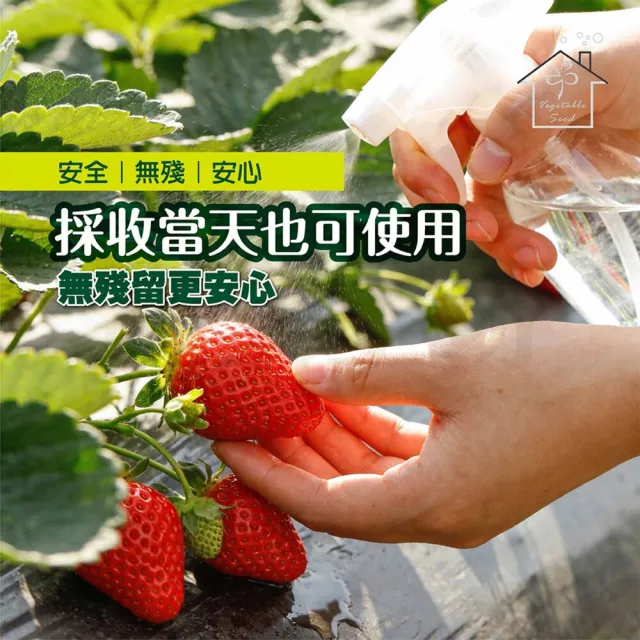 【蔬菜工坊】病蟲害防治套組 120ml 3入｜雙植保字號認證無毒除菌防
