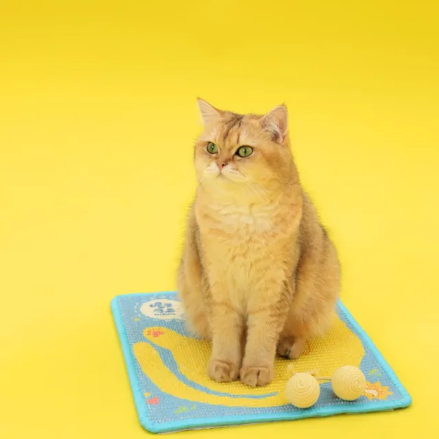【尾巴向上】蛋蛋喵劍麻猫抓板(藍色) 寵物陪伴 紓壓解悶 寵物玩具