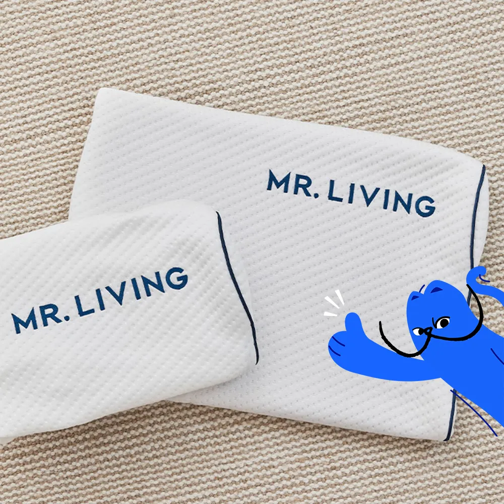 【MR. LIVING 居家先生】護頸減壓蝶型記憶枕-專用枕頭套(不適用於一般枕頭)