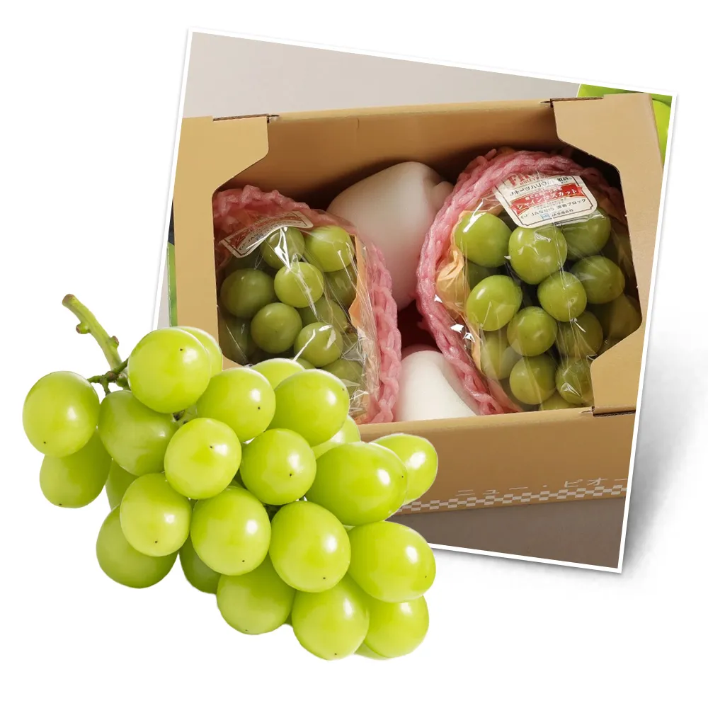 【RealShop】日本山梨/長野空運大串麝香葡萄1kg(約500g*2房裝 水果禮盒 送禮)