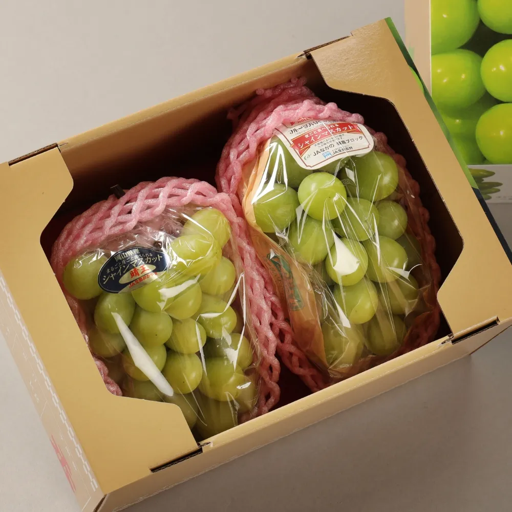 【RealShop】日本長野麝香+岡山晴王葡萄共2房 1.1kg±10%x1盒(水果禮盒 送禮)