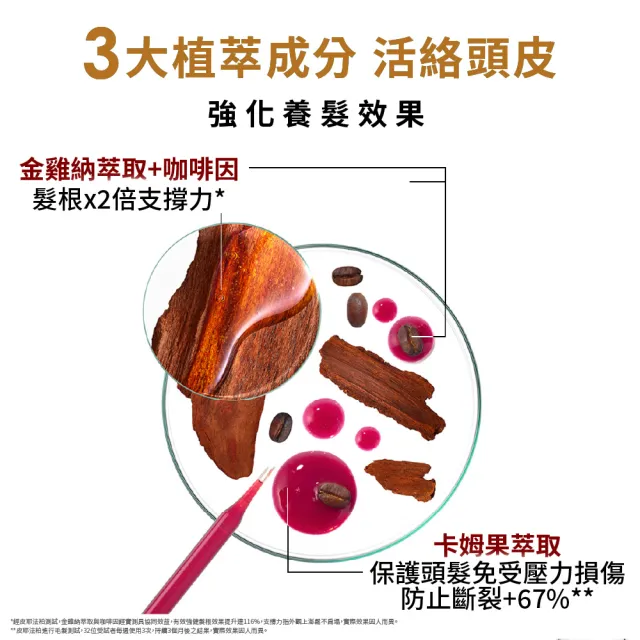 【KLORANE 蔻蘿蘭】官方直營 植萃養髮強韌精華液100ml(升級版)3入組