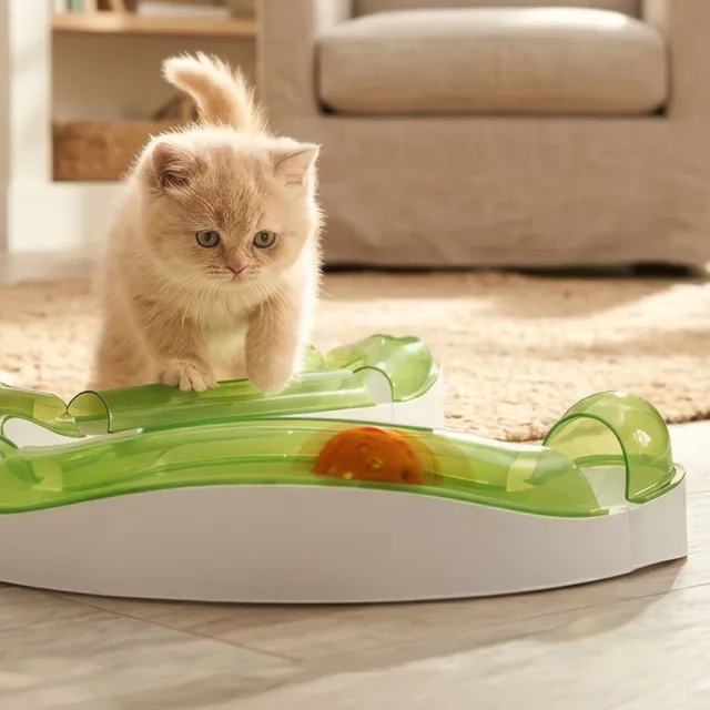 【CATIT】嘿卡堤  多感互動系列-軌道球2.0（貓玩具/益智玩具）