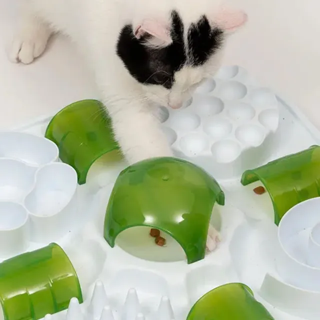 【CATIT】嘿卡堤  多感互動系列-益智慢食碗（寵物碗/餐碗/慢食碗/防噎碗）