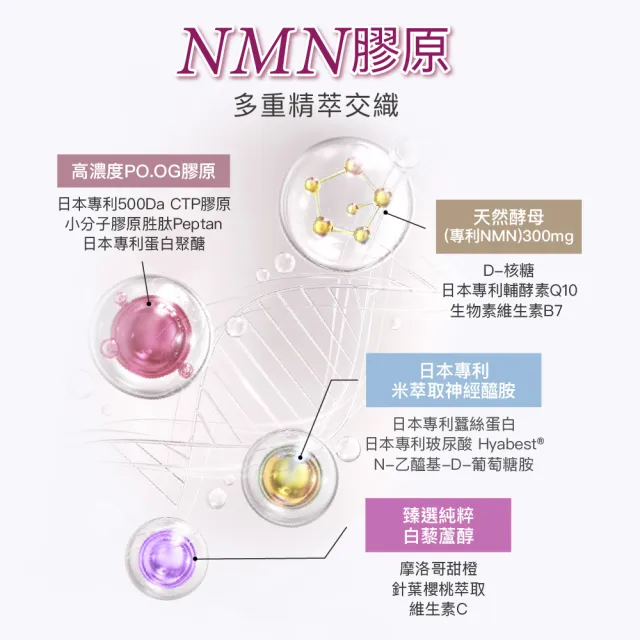 【Angel LaLa 天使娜拉】日本專利NMN酵素膠原粉x7盒(10包/盒/膠原蛋白/神經醯胺/玻尿酸/賴雅妍代言)