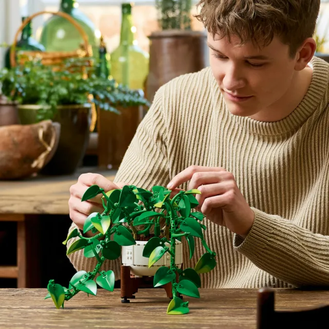 【LEGO 樂高】Botanicals 11512 垂掛黃金葛(momo獨家 花藝 永生花 居家擺飾 懶人盆栽  玩具 積木 送禮推薦)