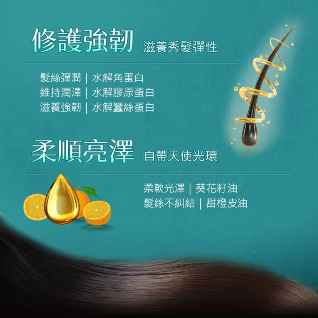 【墨之君】北海道利尻昆布白髮染升級版70gX3(榛果黑/栗子咖)