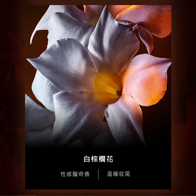 【YSL】官方直營 自由不羈 恣意燃花淡香精 50ML(奔放花草香調)