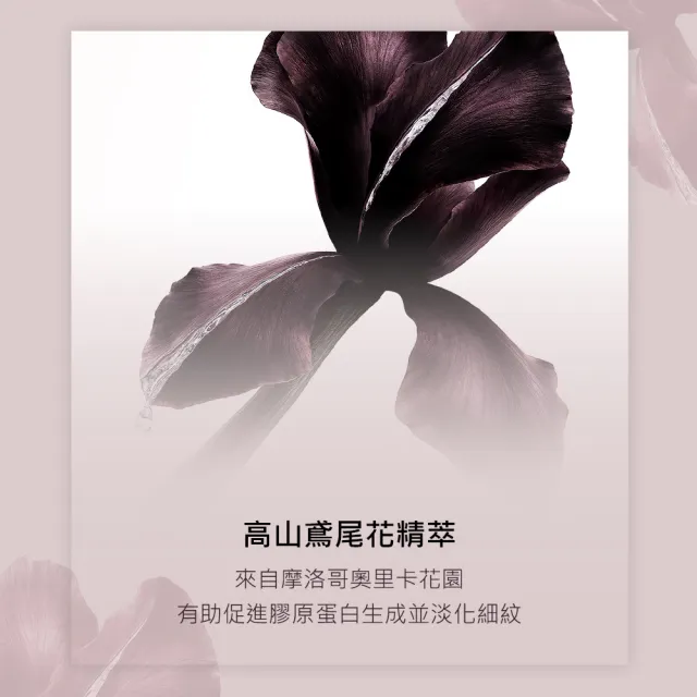 【YSL】官方直營 極效胜肽彈潤撫紋精華露 150ML(新品上市)