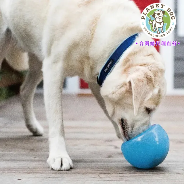 【Planet Dog】Snoop耐咬埋鼻缽 狗玩具 L（中型犬、大型犬適用）4色任選 藏食 益智 慢食 寵物玩具