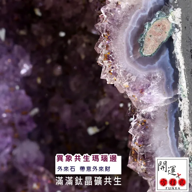 【開運方程式】巴西紫晶洞鈦晶共生紫水晶洞8.8kg(JU414風水開運擺設)