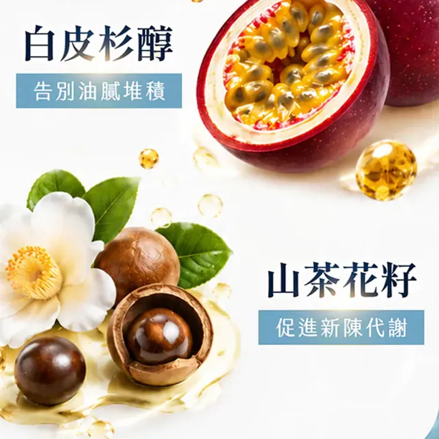 【iVENOR】十時塑花草茶-青汁x9盒(10包/盒 廖家儀有感推薦)