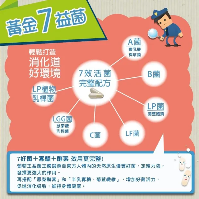 【葡萄王】益菌王膠囊 x8瓶 共480粒(莊智淵推薦 益生菌 鳳梨酵素)