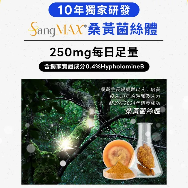 【葡萄王】超極薑黃MAX複方膠囊 60粒x2盒 共120粒(薑黃 胡椒鹼 桑黃)