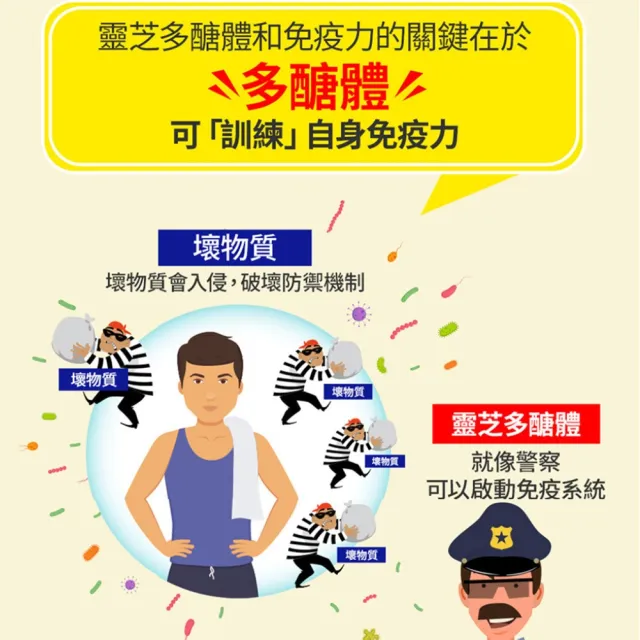 【葡萄王】認證靈芝王60粒X4瓶 共240粒(國家調節免疫力健康食品認證 葡萄王官方)
