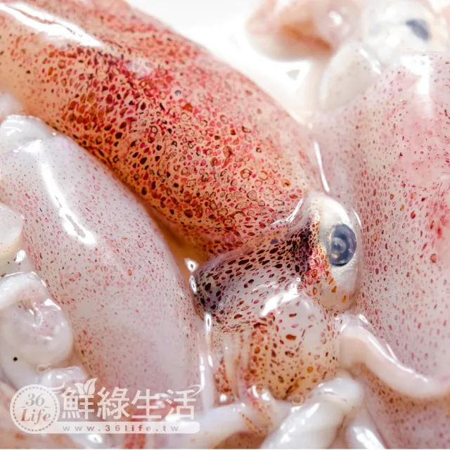 【鮮綠生活】船凍基隆當季野生現撈小咪卷 共10盒(300g±10%/盒)