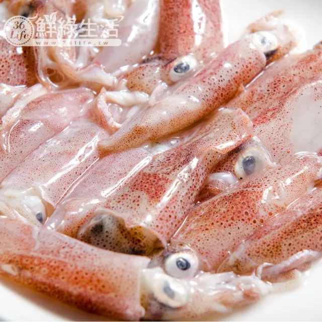 【鮮綠生活】船凍基隆當季野生現撈小咪卷 共10盒(300g±10%/盒)