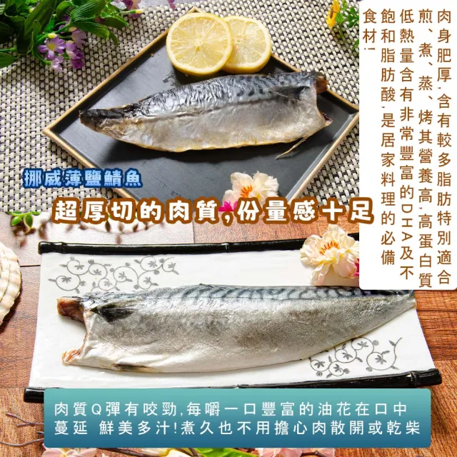 【鮮綠生活】嚴選無紙板超大極厚挪威薄鹽鯖魚片共16包(淨重185g±10%/包)