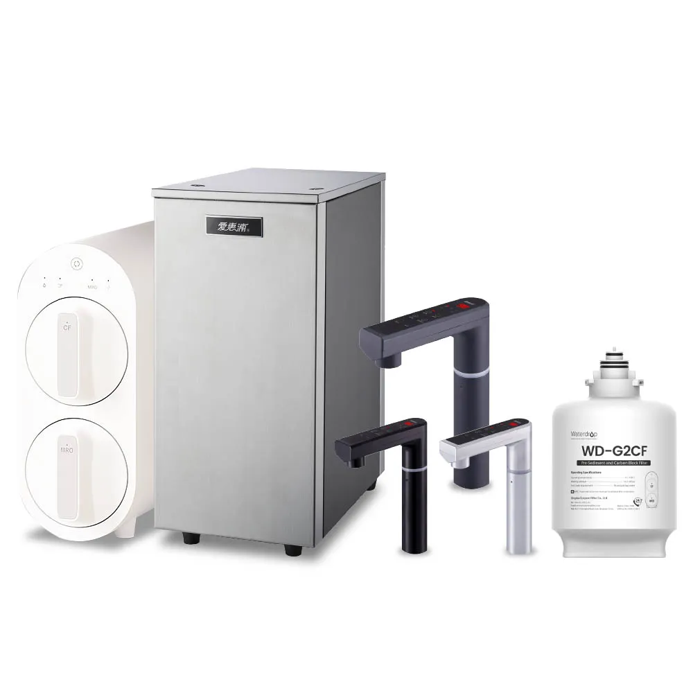 【EVERPURE 愛惠浦】雙溫櫥下型 HS288T PLUS觸控熱飲機+Waterdrop G2P600無桶直出RO純水機