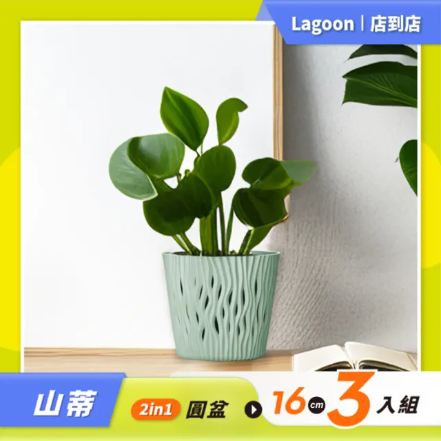 【Lagoon】園藝花盆優惠套組/山蒂2in1圓盆16cm3入組