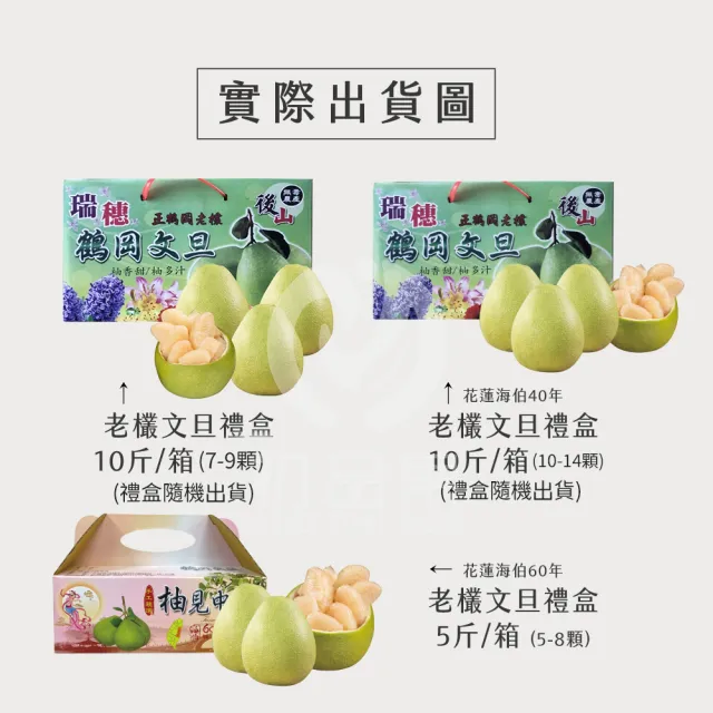 【初品果】海伯 花蓮鶴岡 外銷精品老欉文旦10斤10-14顆x2箱 (小果 中秋禮盒企業採購 送禮)