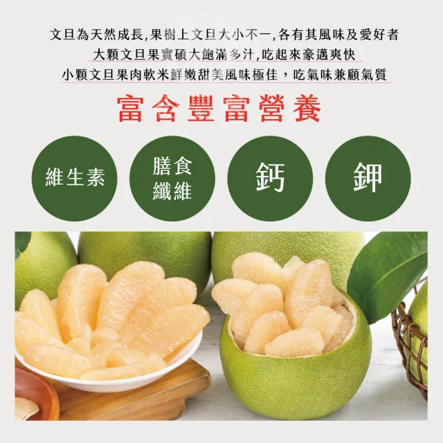 【初品果】花蓮鶴岡海伯精品老欉文旦禮盒10斤10-14顆x1箱(小果_中秋禮盒_好友揪團_企業送禮)