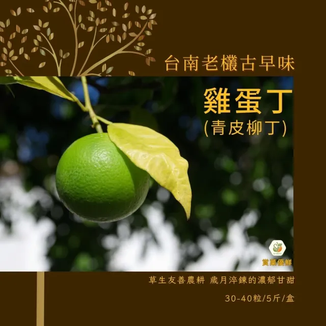 【賞菓優鮮】台南正老欉古早味雞蛋柳丁精美禮盒1盒(30-40粒/5斤)(金秋寒露限定_產地鮮採直送)