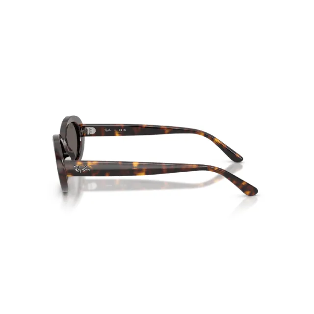 【RayBan 雷朋】膠框 復古 太陽眼鏡 墨鏡 y2k(RB2223F 601/31、 902/B1 54mm)