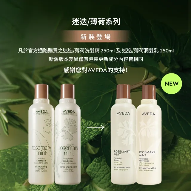 【AVEDA】迷迭薄荷洗髮精 250ml