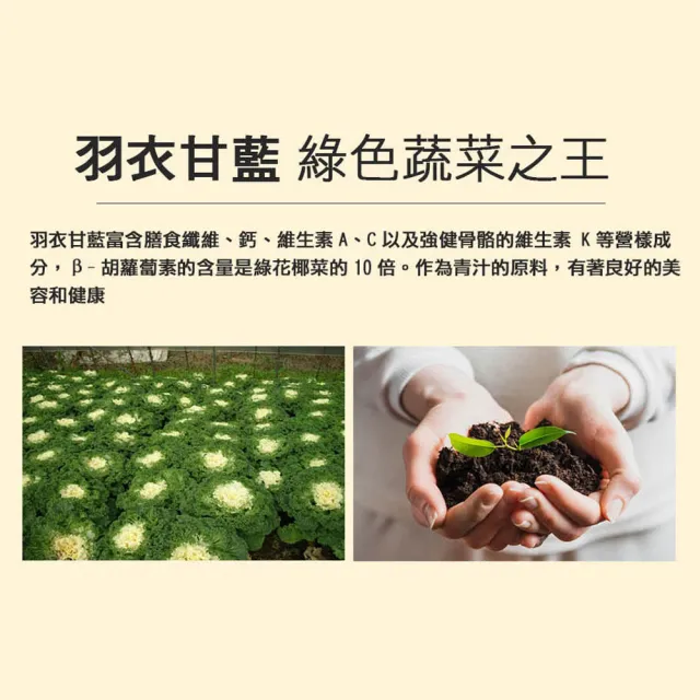 【盛花園】日本九州原裝羽衣甘藍菜青汁(44包/組)