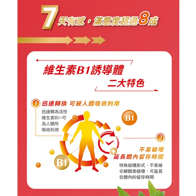 【台塑生醫醫之方】長釋B群EX PLUS加強錠x5瓶(共300錠-李李仁代言-高單位維生素B群.檸檬馬鞭草.7天舒緩)