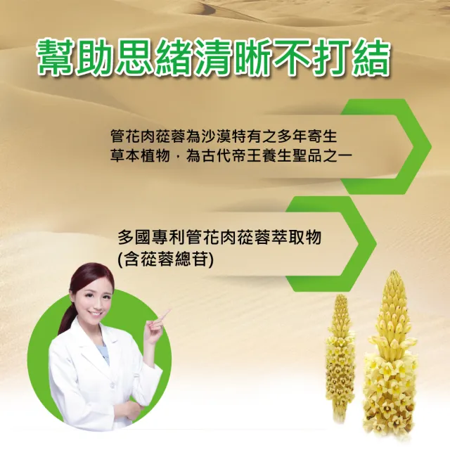 【YouBest 優倍多】優倍多YouBest 活力B群軟膠囊(90粒/盒-高單位B群 胺基酸 管花肉蓯蓉 茯苓萃取物)