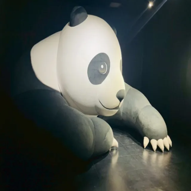 【喜鴻假期】★不進保肝．漫遊首爾５日★光影SAFARI、烏耳島、鐵道自行車、彩虹噴泉大橋