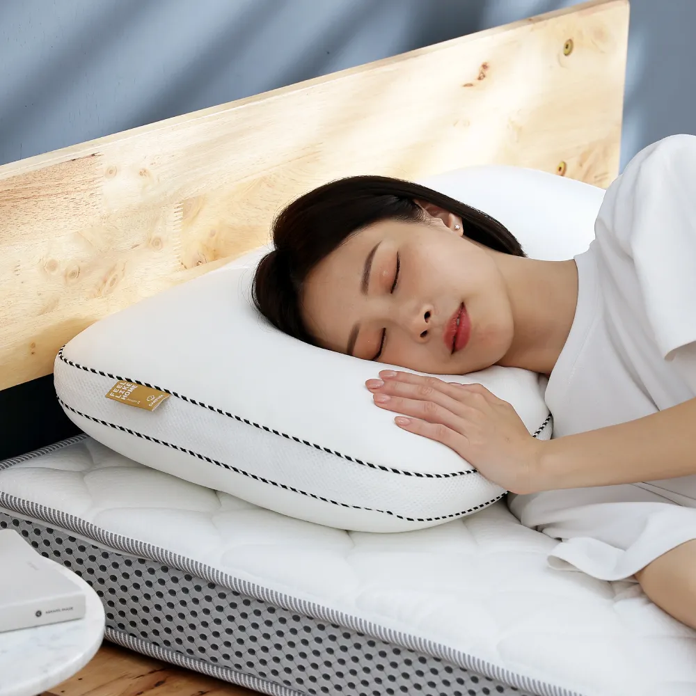 【Darphia 朵法亞】快速出貨|銀粒子棉眠枕 贈洗衣袋 (支撐包覆/抗菌/護頸支撐/可水洗)