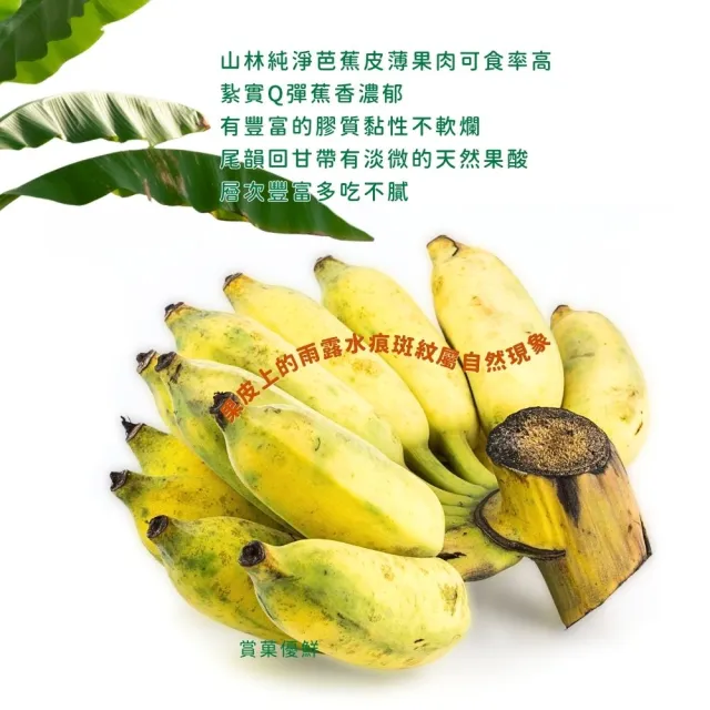 【賞菓優鮮】高雄月世界山林純淨芭蕉禮盒1盒(15-22支/3斤)(純淨無毒栽植_產地現採直送)